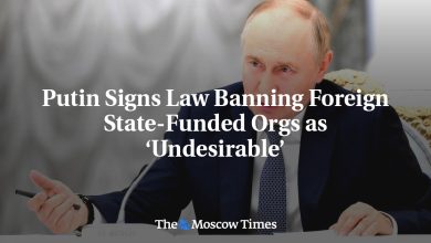 Putin Signs Law Banning Foreign State-Funded Orgs as ‘Undesirable’