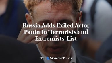 Russia Adds Exiled Actor Panin to ‘Terrorists and Extremists’ List