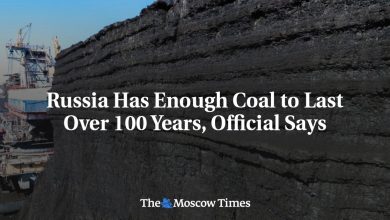 Russia Has Enough Coal to Last Over 100 Years, Official Says