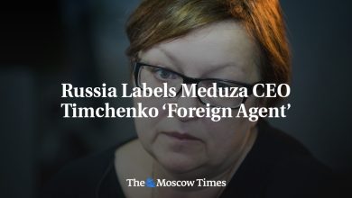 Russia Labels Meduza CEO Timchenko ‘Foreign Agent’