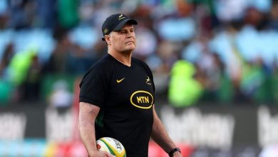 Schmidt can make Wallabies competitive against Lions, says Erasmus