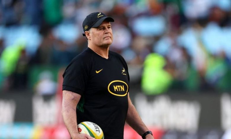 Schmidt can make Wallabies competitive against Lions, says Erasmus