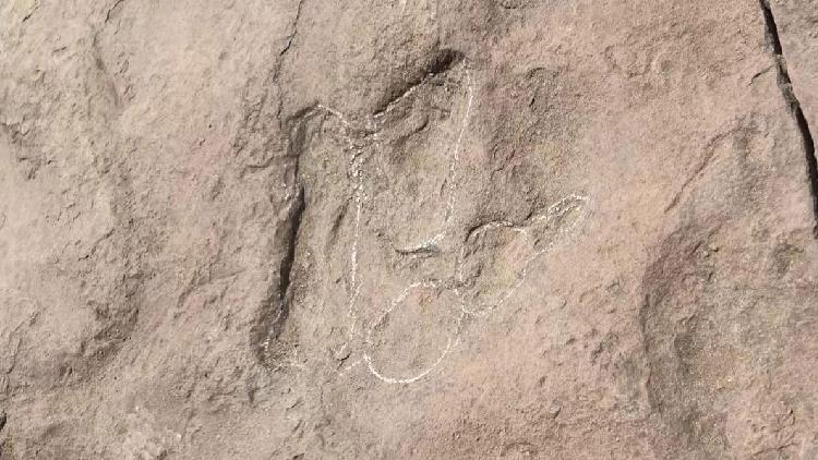 Small dinosaur footprints found in NW China