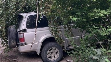 Strong winds tear off roofs of four buildings and knock down 30 trees in Bishkek