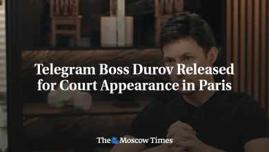 Telegram Boss Durov Released for Court Appearance in Paris