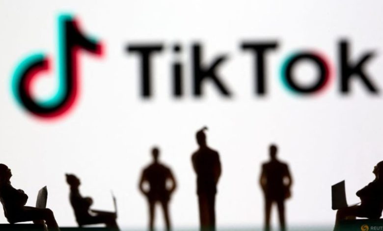 TikTok must face lawsuit over 10-year-old girl's death, US court rules