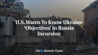 U.S. Wants To Know Ukraine ‘Objectives’ in Russia Incursion