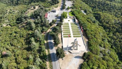 Underwater park to boost diving tourism appeal in Türkiye's Çanakkale