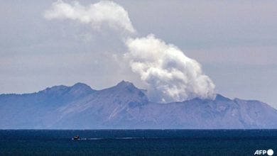 Volcanic eruption grounds flights in New Zealand