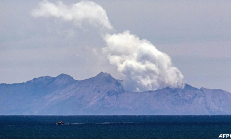 Volcanic eruption grounds flights in New Zealand