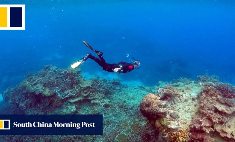 Why the Great Barrier Reef is vital for us, our oceans and our planet