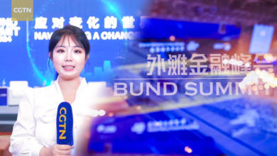 2024 Bund Summit: Navigating the changing world