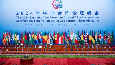 Chinese President Xi Jinping Proposes 10 partnership actions to advance modernization in Africa 4