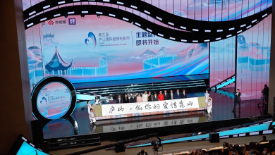 Curtain falls on 5th Lushan International Romance Film Week