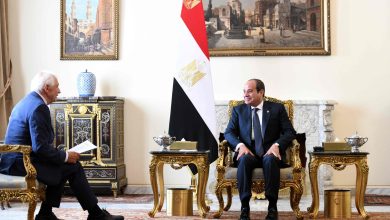 Egypt urges European pressure to push Israel for Gaza cease-fire