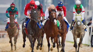 Fifth World Nomad Games Culminates in Thrilling Horse Racing Spectacle