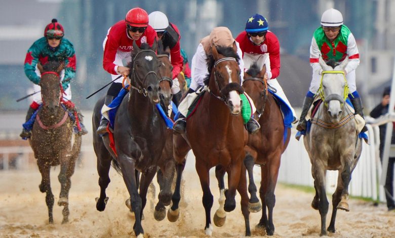 Fifth World Nomad Games Culminates in Thrilling Horse Racing Spectacle