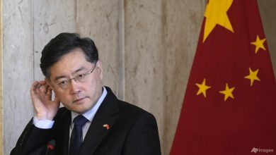 From alleged torture, suicide to demotion: Why China's disgraced foreign minister Qin Gang’s fate is fodder for speculation