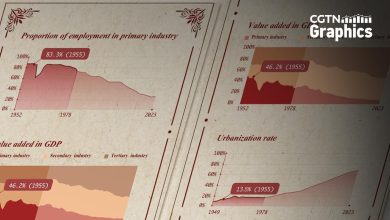 Gateway of Time: Rural China by numbers during the 1950s