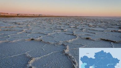 International Fund for Saving Aral Sea Approves Work Plan for Next Two Years