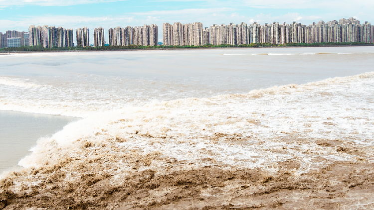 Live: 2024 Qiantang River tidal bore view in E China