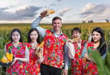 Live: Devouring a corn feast in golden fields in northeast China