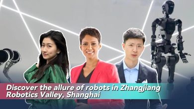 Live: Discover the allure of robots in Shanghai