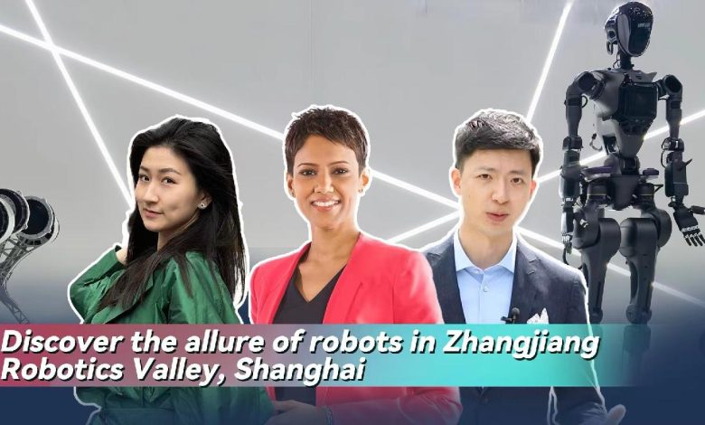 Live: Discover the allure of robots in Shanghai