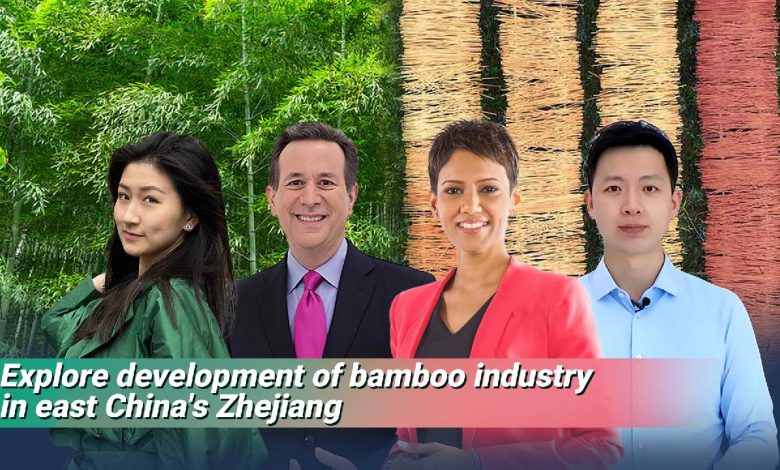 Live: Explore development of bamboo industry in east China's Zhejiang