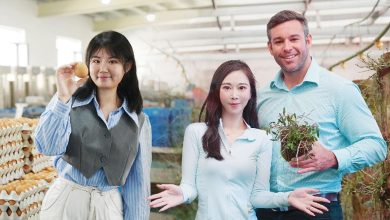 Live: Explore green and circular agriculture in NE China