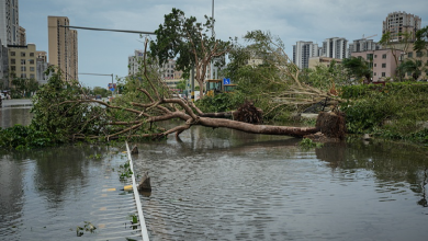 Live: Hainan authorities hold press conference on Super Typhoon Yagi