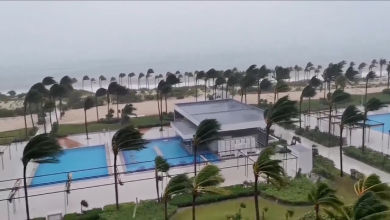 Live: Hurricane Helene slams Florida with strong storm