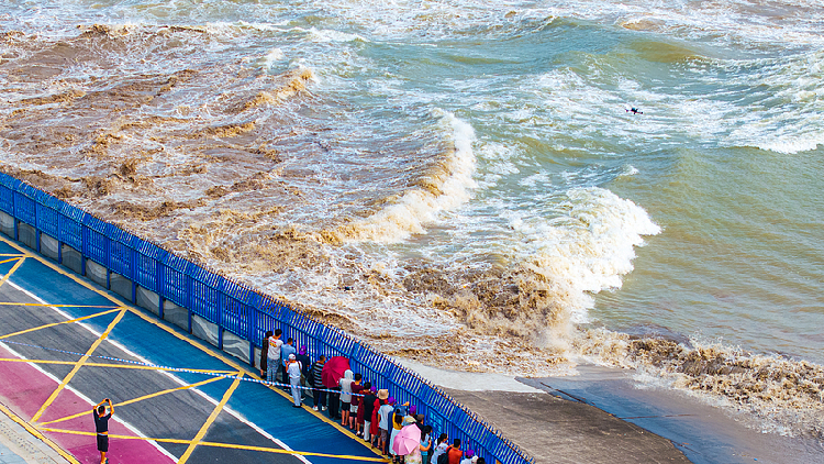 Live: View the world's largest tidal bore in east China's Zhejiang