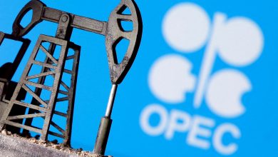 Opec again lowers 2024, 2025 global oil demand growth view