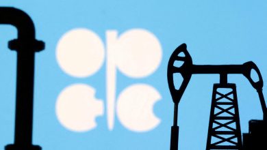 Opec+ agrees to delay October oil output hike for two months: sources