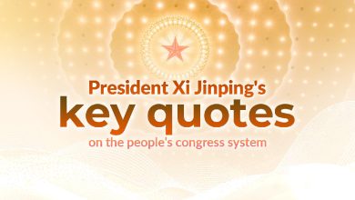 President Xi Jinping's key quotes on the people's congress system