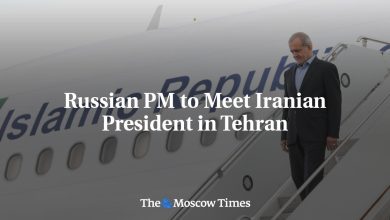 Russian PM to Meet Iranian President in Tehran