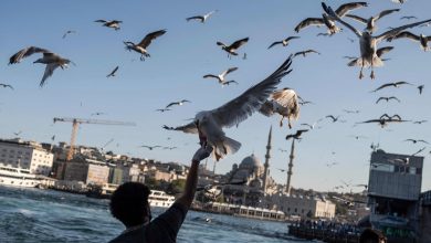 Tourist arrivals to Istanbul hit nearly 10.5 million in 7 months