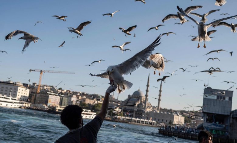 Tourist arrivals to Istanbul hit nearly 10.5 million in 7 months