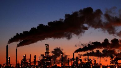 Trillions of dollars of fossil fuel finance routed via tax havens: study