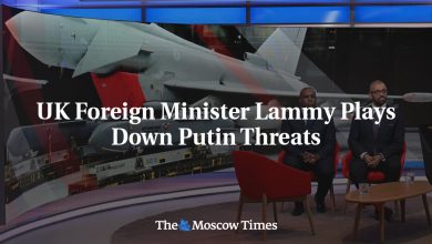 UK Foreign Minister Lammy Plays Down Putin Threats