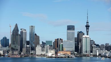 World-beating New Zealand sovereign wealth fund posts 15% annual return