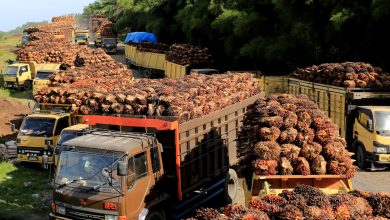 World’s most popular vegetable oil is no longer the cheapest