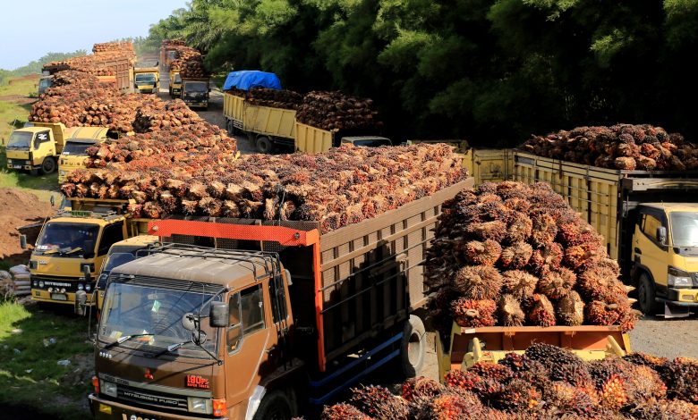 World’s most popular vegetable oil is no longer the cheapest