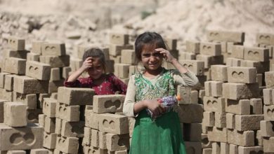 Afghan children work in brick kilns to support families