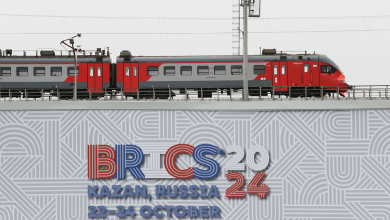 BRICS grows increasingly attractive to Global South: Expert