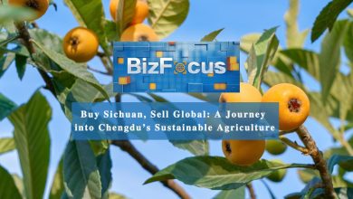 BizFocus Ep.106: Buy Sichuan, sell global