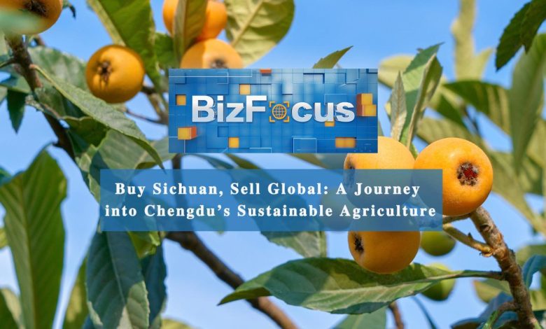 BizFocus Ep.106: Buy Sichuan, sell global