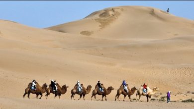 CHINA-INNER MONGOLIA-KUBUQI DESERT-TOURISM (CN)