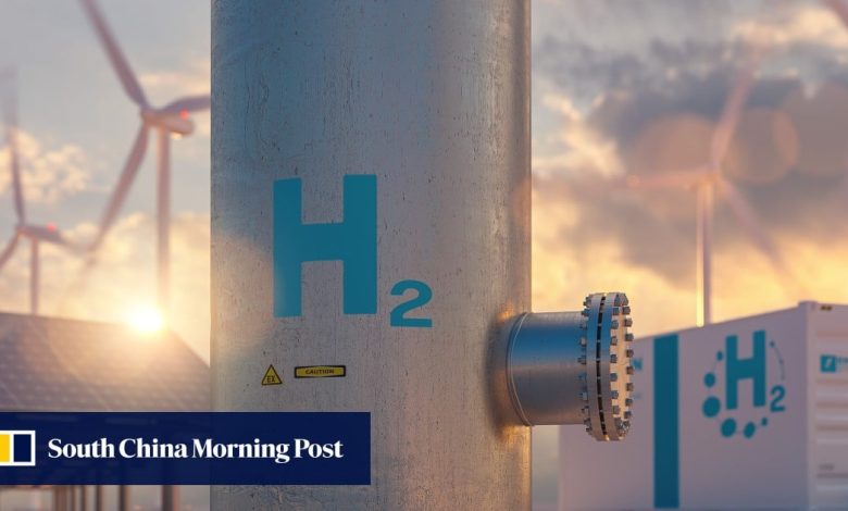 China leads world on green hydrogen projects, dominates equipment manufacturing, IEA says